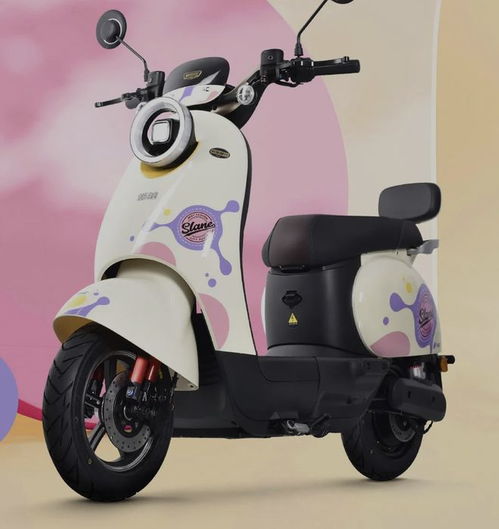 3款高品質電動車亮相,拒絕花里胡哨配置,主打實用性,2100起 鉛酸 電機 續航 鋰電池 安全性能 網易訂閱