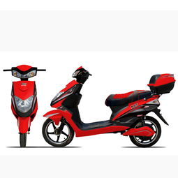 鐵駱駝防盜電動車 致富新選