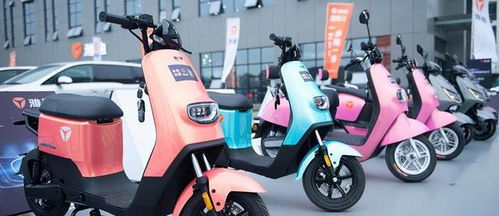 多年來騎電動汽車,哪個牌子的電池壽命更長 說明價格,質量