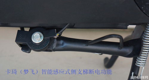 綠能電動車實現多元化升級，重磅來襲引領行業新浪潮