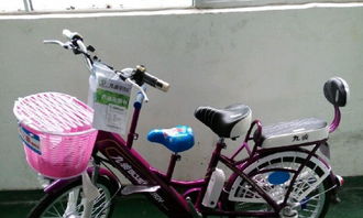 深圳電動(dòng)車價(jià)格解析 40公里續(xù)航的工廠批發(fā)僅1450元